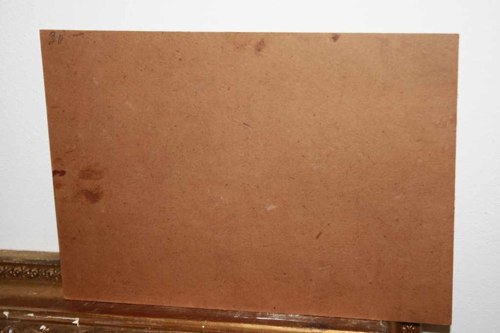 CACTUS - OLIEVERF - GESIGN. STIERH.... kopen? Bied vanaf 1!