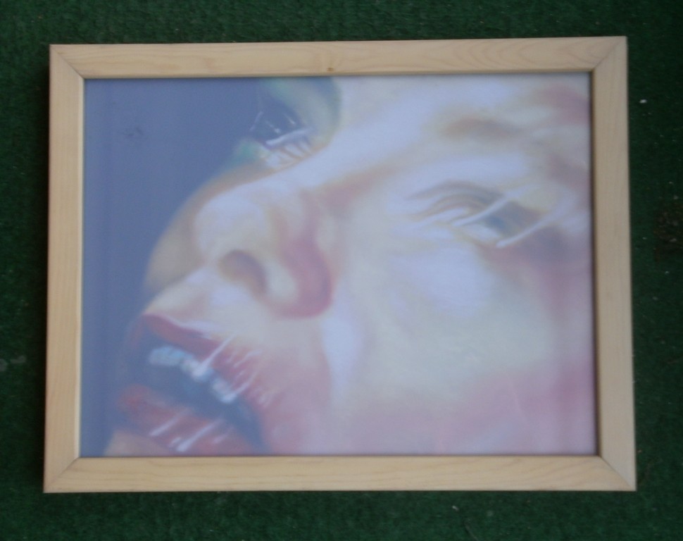 Anya Janssen. pastel op papier. Sham Rage V + V11 + X11 (drie werken) kopen? Bied vanaf 750!