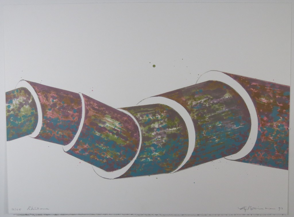 Sjoerd Buisman: Litho, Rhizome verkocht voor € 35!