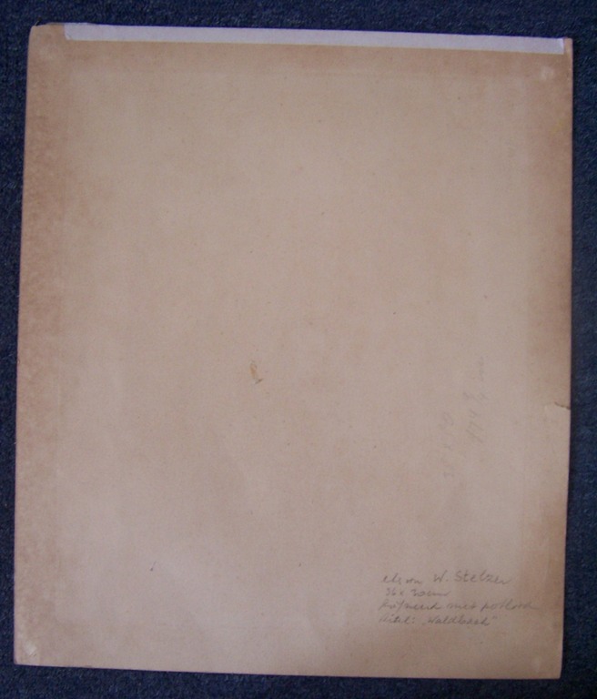 Willy Stelzer - WILLY STELZER (1883-1953) - ets - "Waldbach" - Hansigneerd kopen? Bied vanaf 10!