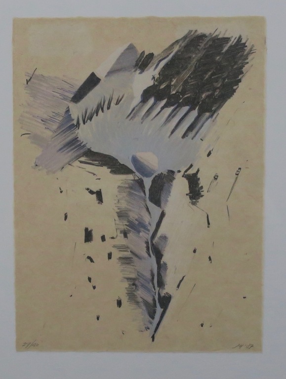 Jan Hein van Rooy: Litho op Rijstpapier, Z.T. II - Ingelijst kopen? Bied vanaf 1!