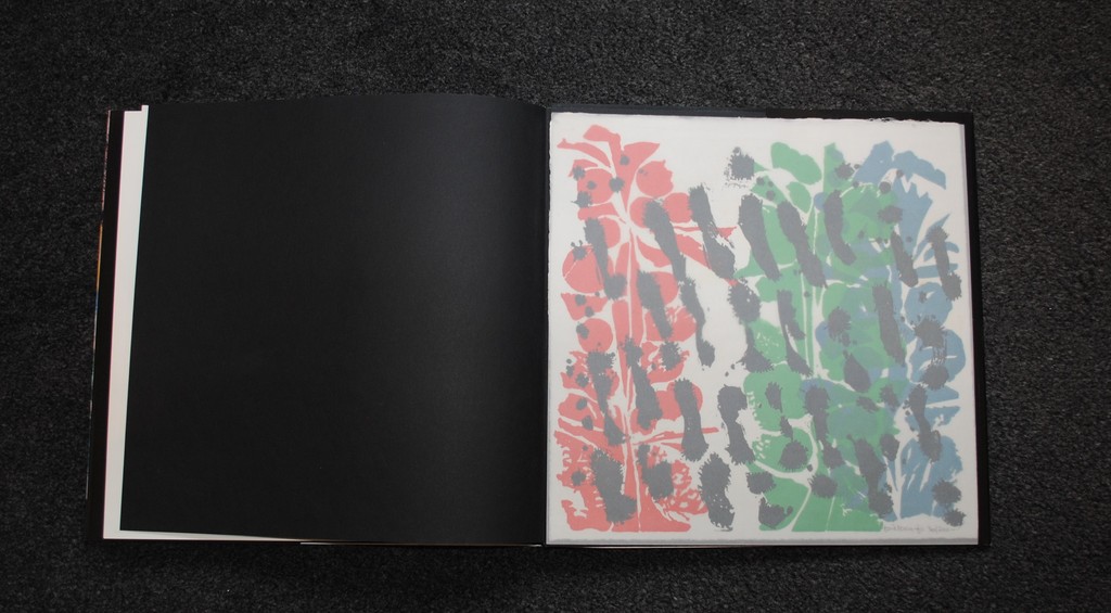 Jef Diederen - 4 kleuren lino op rijstpapier - 1991 + boek - luxe editie kopen? Bied vanaf 55!