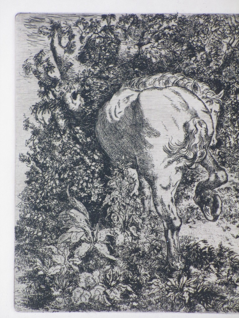 Ko Prange, Mythologisch paard, Ets kopen? Bied vanaf 35!