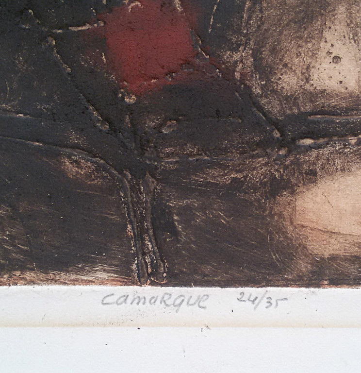 Ru van Rossem - Camargue, aquatint ets met reliëfdruk kopen? Bied vanaf 175!