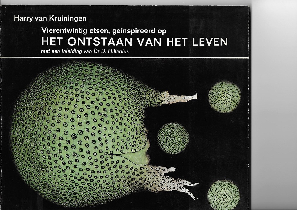 Harry van Kruiningen, ets, het ontstaan van het leven kopen? Bied vanaf 10!