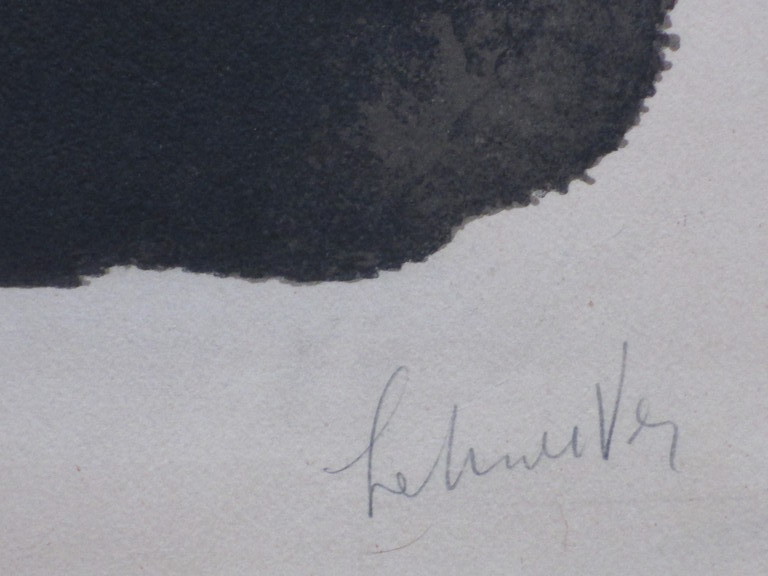 Onbekend, Van der Vet?, Roofvogelachtig Wezen, Kleurlitho kopen? Bied vanaf 1!