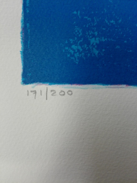 Mattie Schilders, zeefdruk op papier, Titel: oorsprong van elk leven kopen? Bied vanaf 40!