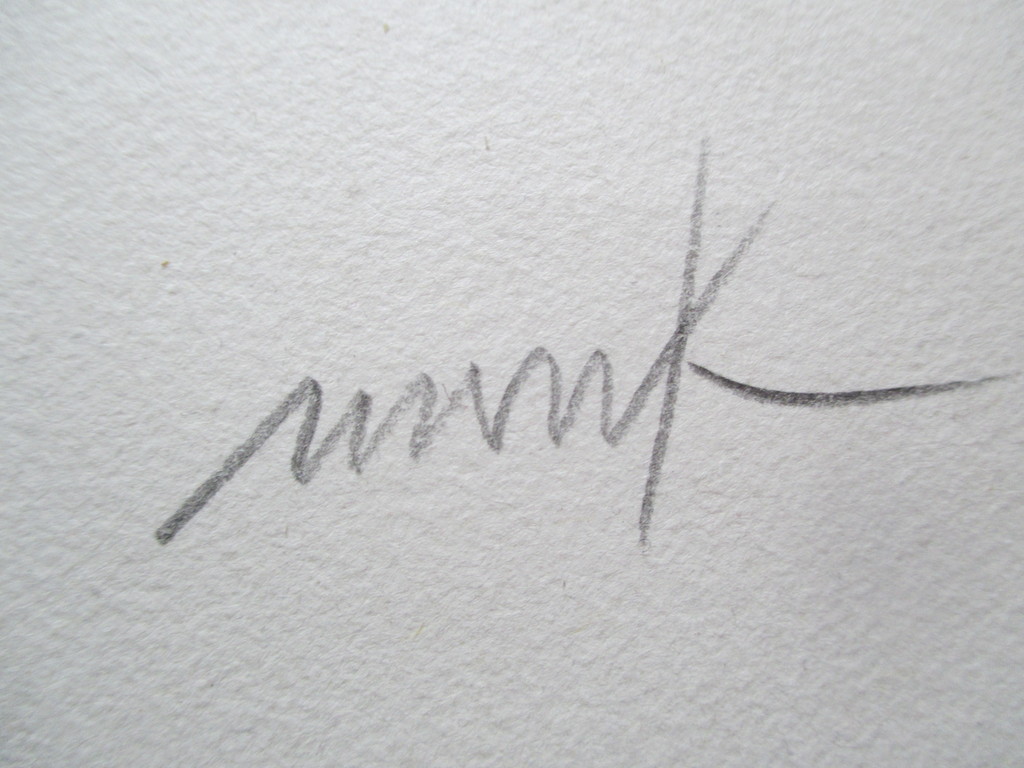 Heinz Mack: Zeefdruk, Flammenhand  kopen? Bied vanaf 1!