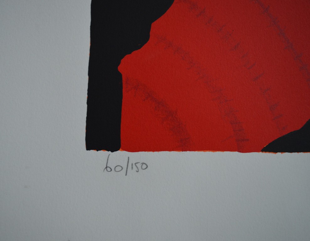 Ronald Boonacker - Ronald Boonacker - zeefdruk - "Villa Monteriggioni" (afm; ca. 100 x 70 cm!) kopen? Bied vanaf 1!