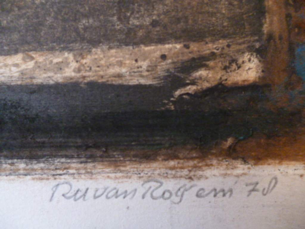 Ru van Rossem - kleurenets - Koningsgraf I kopen? Bied vanaf 90!