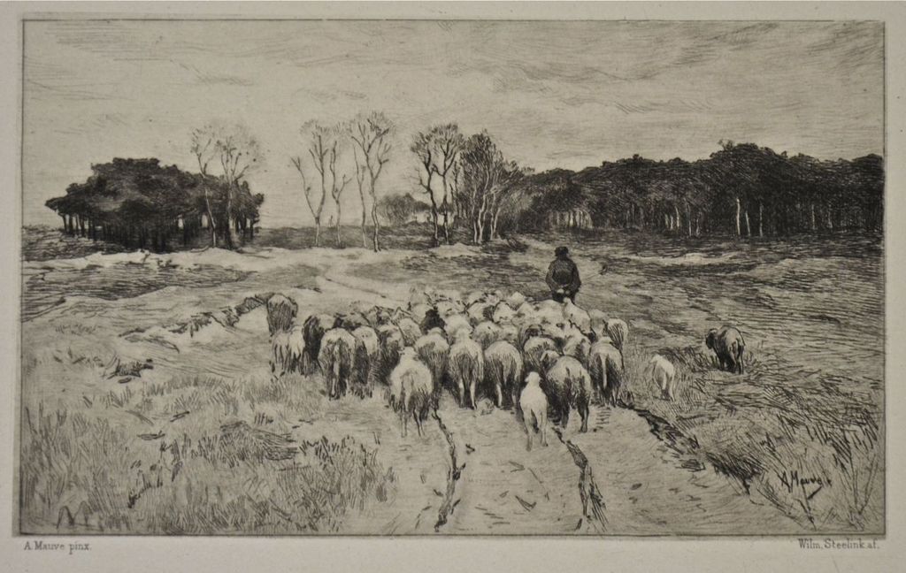 Willem Steelink: Ets. Op de heide kopen? Bied vanaf 1!