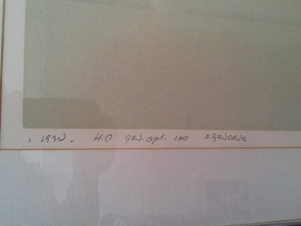 Fon Klement, boardsnede "1990" S/N kopen? Bied vanaf 225!