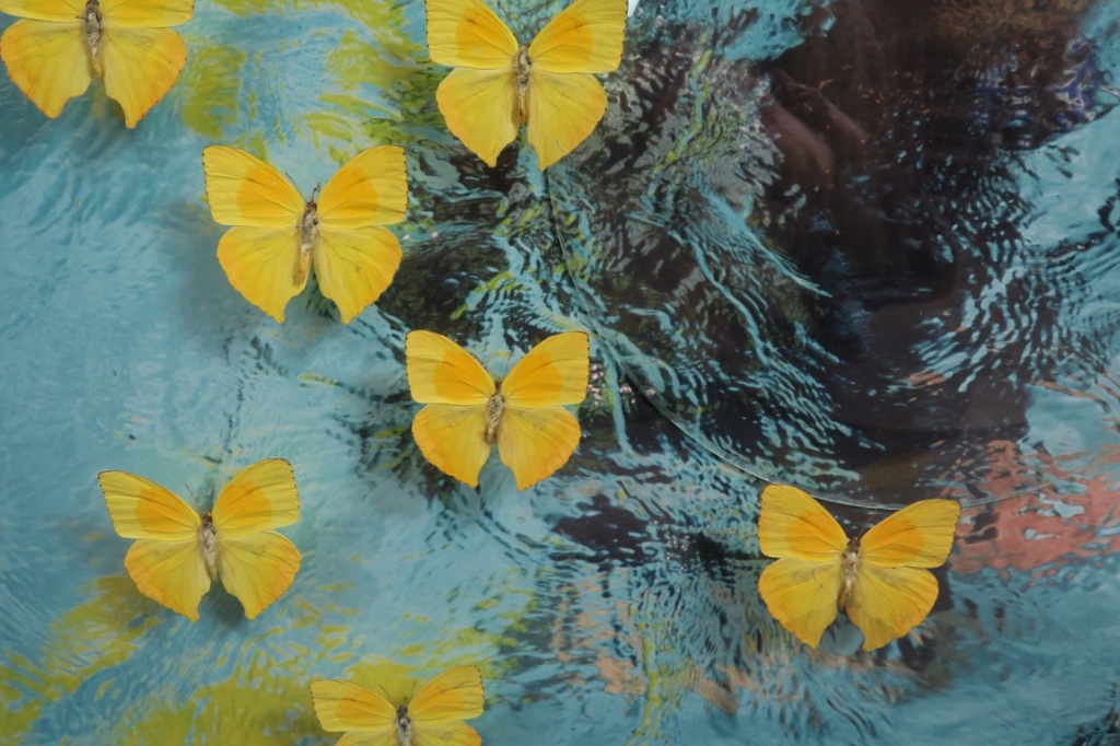 Pamela Schellekens: Kijkkastje, Wat ik nodig heb ... - Ingelijst kopen? Bied vanaf 100!