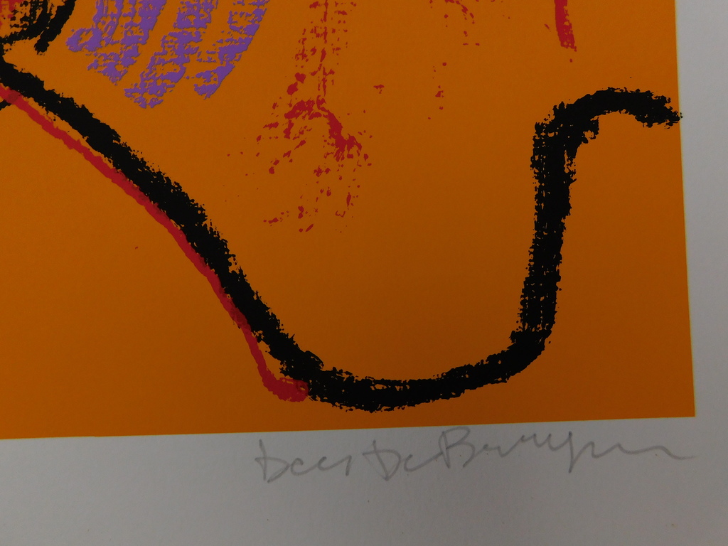 Dees de Bruyne - Kleurenlitho kopen? Bied vanaf 50!