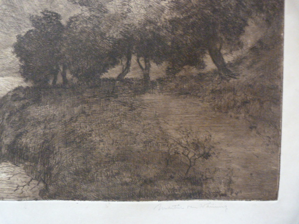 Martin van Waning ( 1889 - 1972 ) - ets - landschap. kopen? Bied vanaf 1!