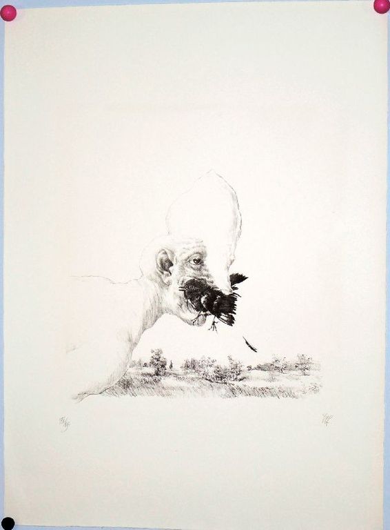 Peter Vos: Schiereiland Melancholie, grote litho kopen? Bied vanaf 100!