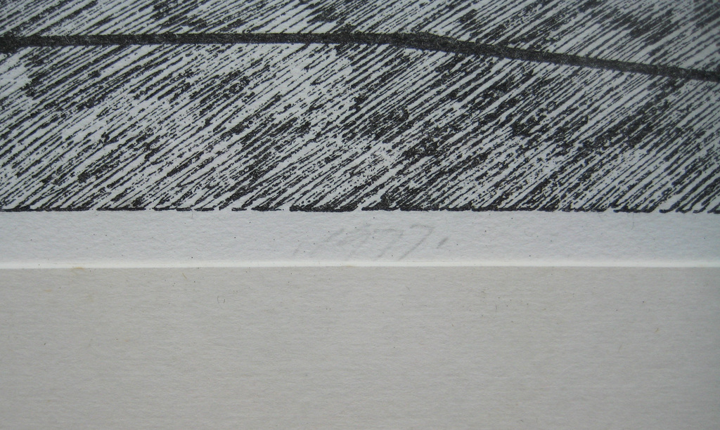 Chr. Paul Damsté, ets en zeefdruk, 1977, 7/100, in houten lijst kopen? Bied vanaf 45!