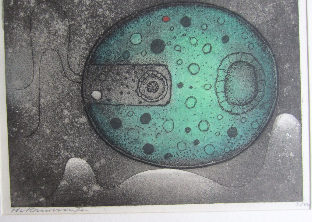 HARRY VAN KRUININGEN KLEURENETS kopen? Bied vanaf 50!