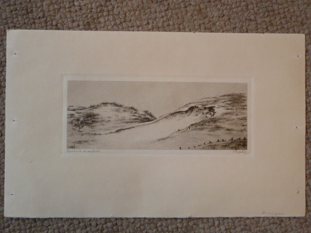 Dirk Harting - ets - Duinpan kopen? Bied vanaf 30!