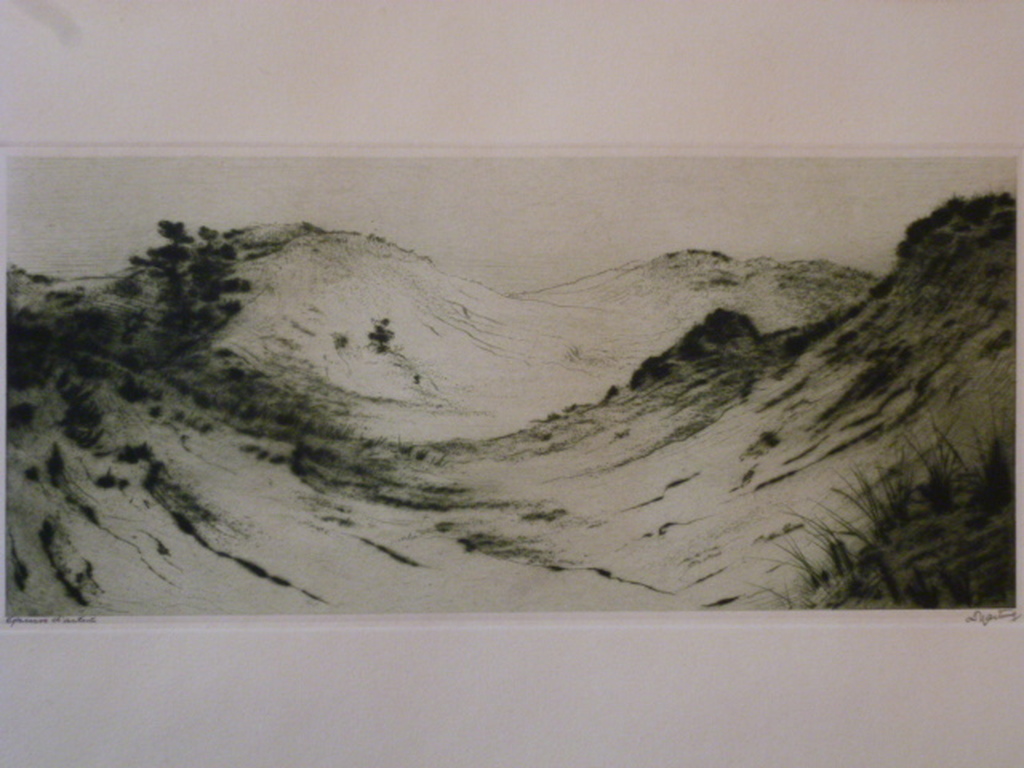 Dirk Harting - ets - Zandverstuiving kopen? Bied vanaf 35!