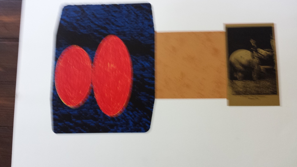 Jelis van Dolderen zeefdruk kopen? Bied vanaf 1!