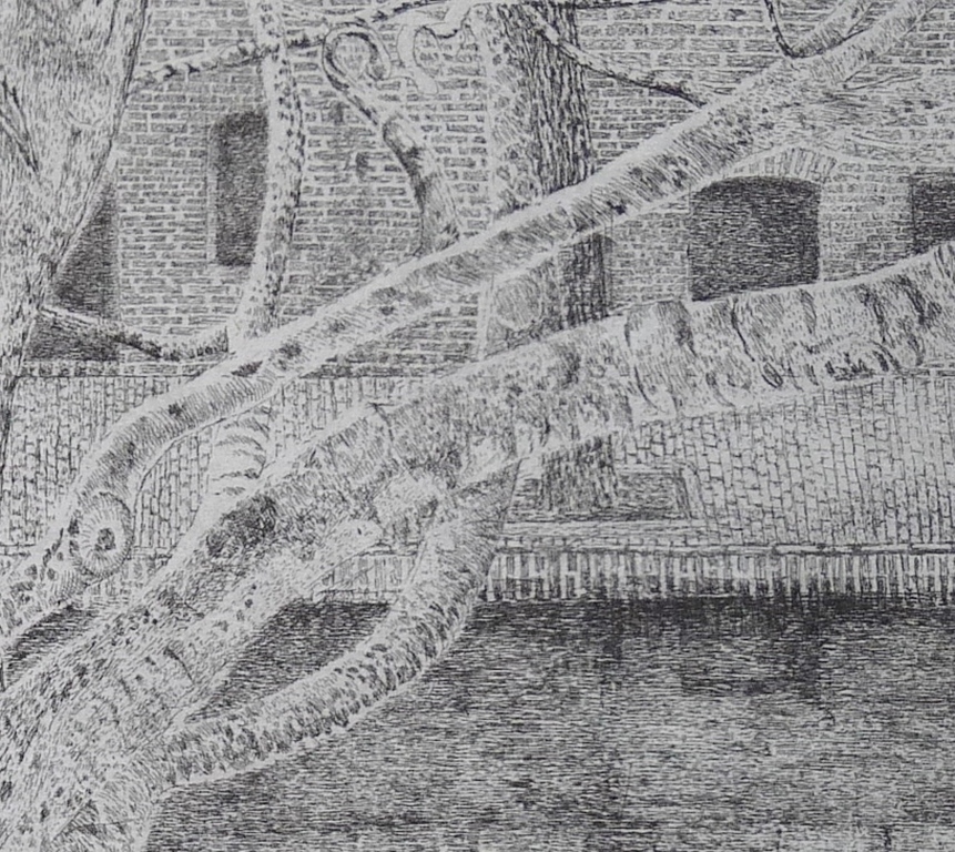 Charles Donker, Ets, Boom aan gracht  kopen? Bied vanaf 90!