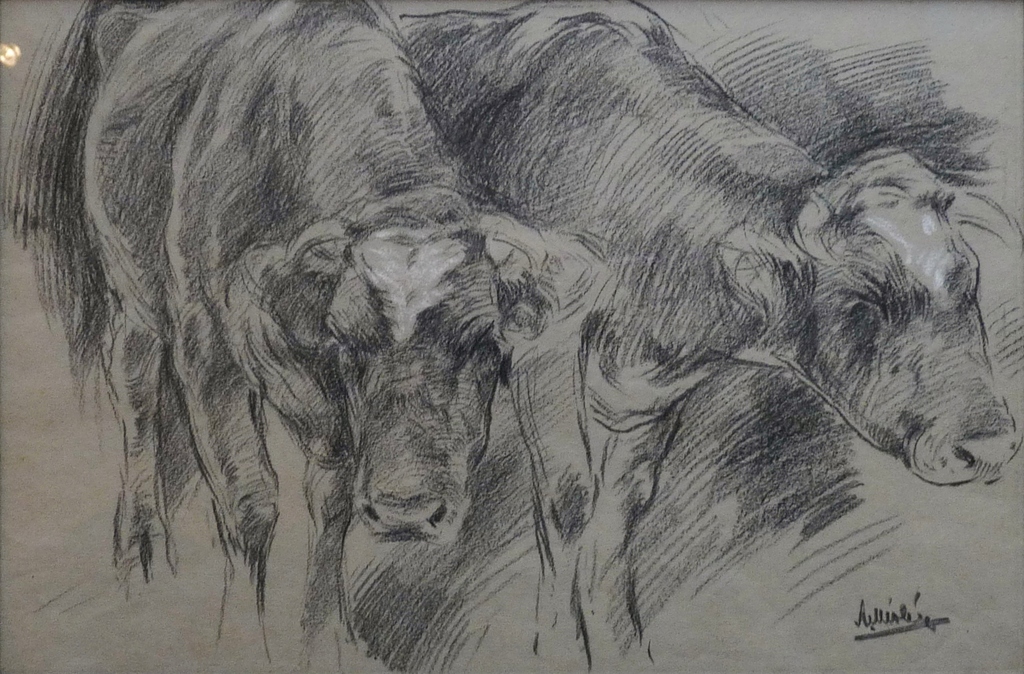 A. Miolée, Tekening, 2 koeien, Gesigneerd kopen? Bied vanaf 70!