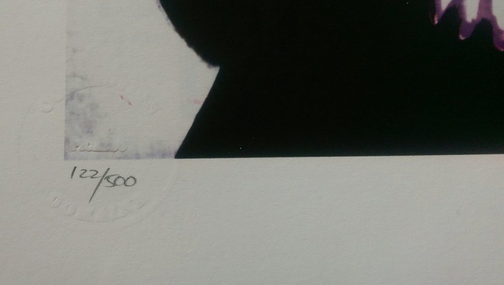 Pablo Picasso - Giclee-turkse sjaal  kopen? Bied vanaf 45!