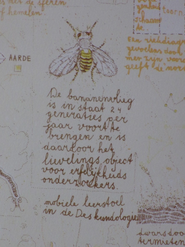 Theo Kley, Erfelijke variaties en Organische structuren, Kleurlitho kopen? Bied vanaf 30!