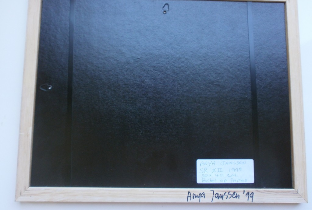 Anya Janssen. pastel op papier. Sham Rage V + V11 + X11 (drie werken) kopen? Bied vanaf 750!