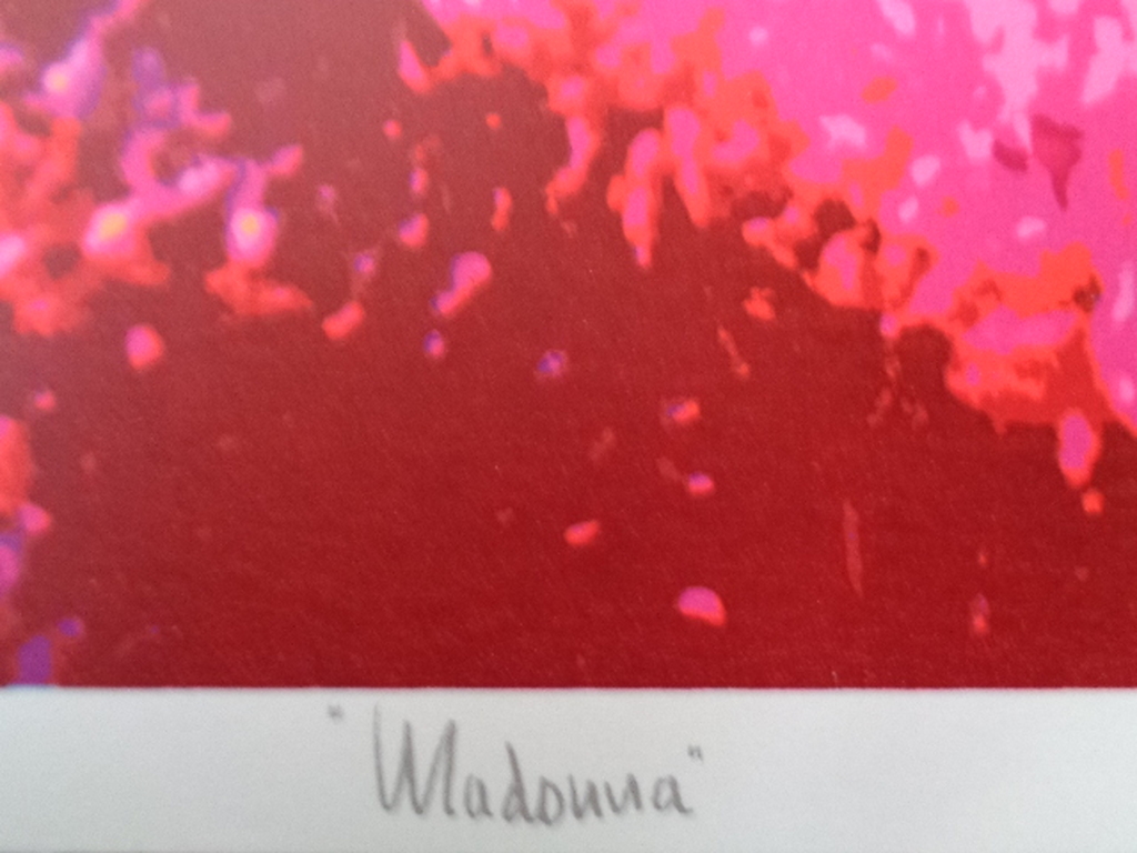 Henk van der Vet, HANDGESIGNEERDE Zeefdruk MADONNA kopen? Bied vanaf 14!
