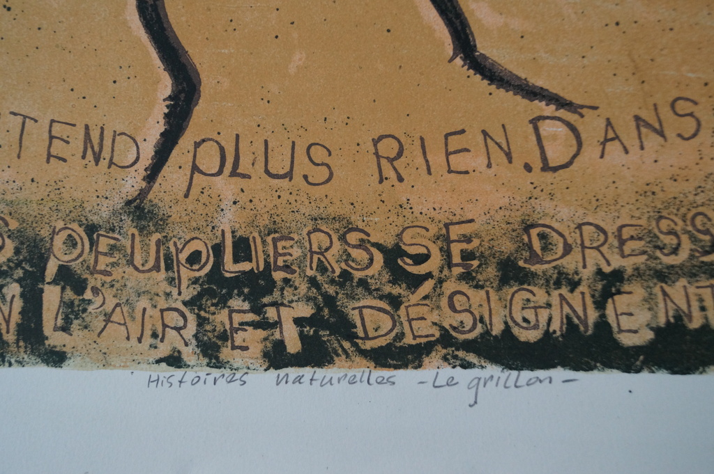 Joost Minnigh - gesigneerde litho - Histoires naturelles - Le grillon - 2001 kopen? Bied vanaf 1!