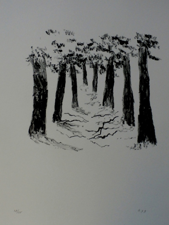 Armando - litho: confrontaties tussen potlood en papier (bomen)  kopen? Bied vanaf 225!