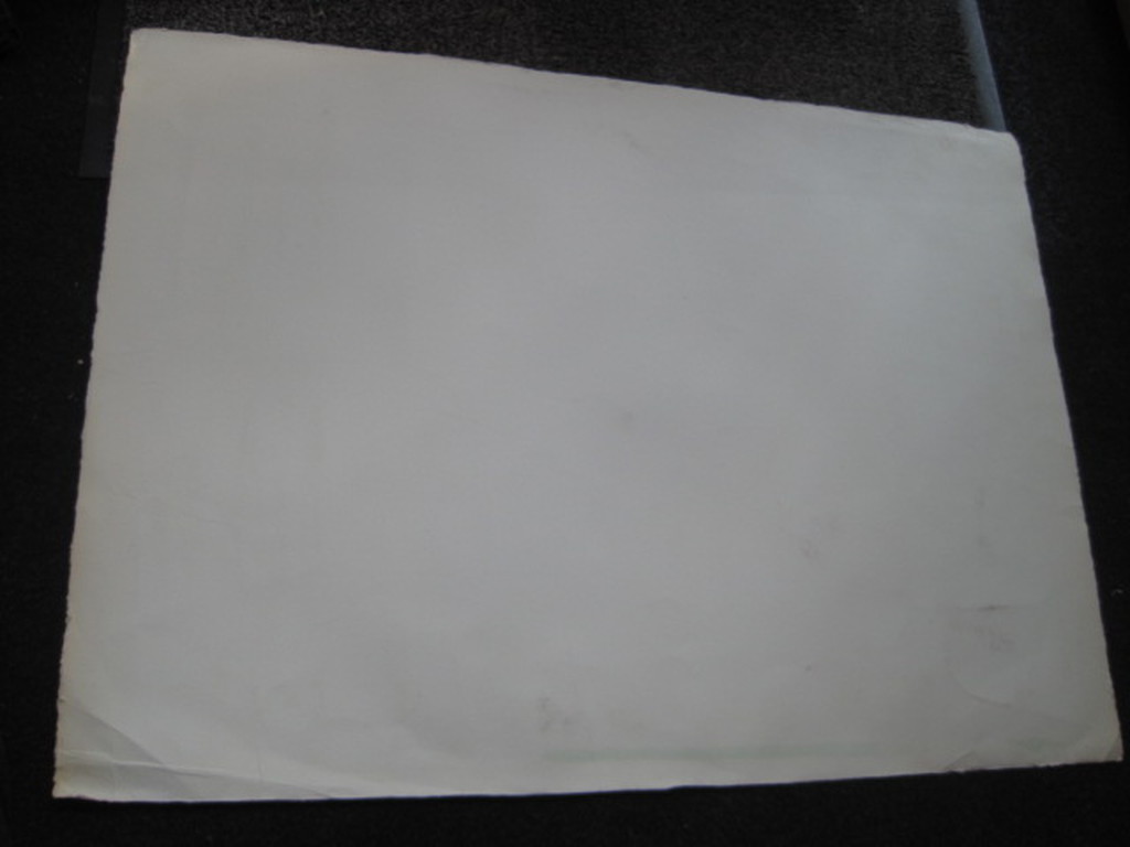 alleskunner Henri Plaat (1936-) grote litho  kopen? Bied vanaf 1!