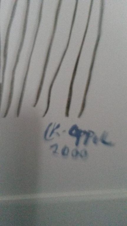 Karel Appel LITHO  kopen? Bied vanaf 65!