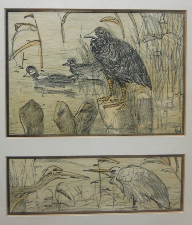 Theo van Hoytema: 6x Litho, Vogels - Ingelijst kopen? Bied vanaf 30!