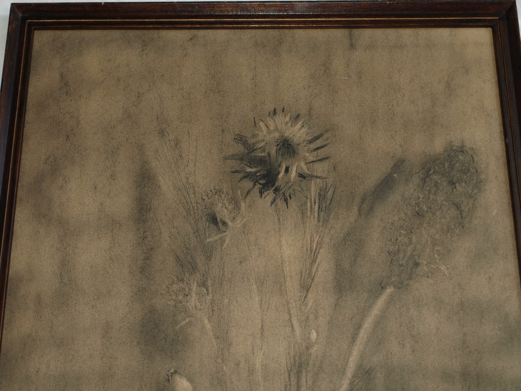 Onbekend : Tekening conté-potlood , Wilde bloemen – Gesigneerd & ingelijst  kopen? Bied vanaf 1!