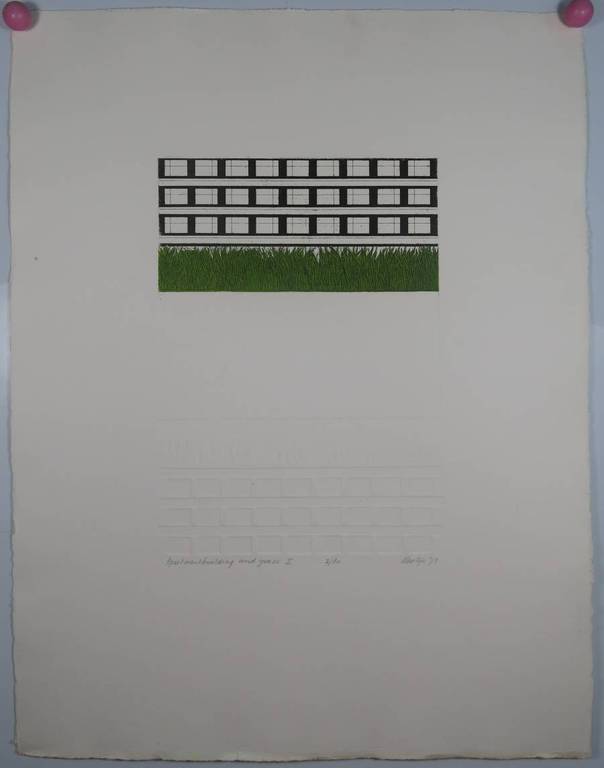 Martijn Ruiter: Ets en aquatint en reliefdruk, Apartmentbuilding and grass I kopen? Bied vanaf 1!