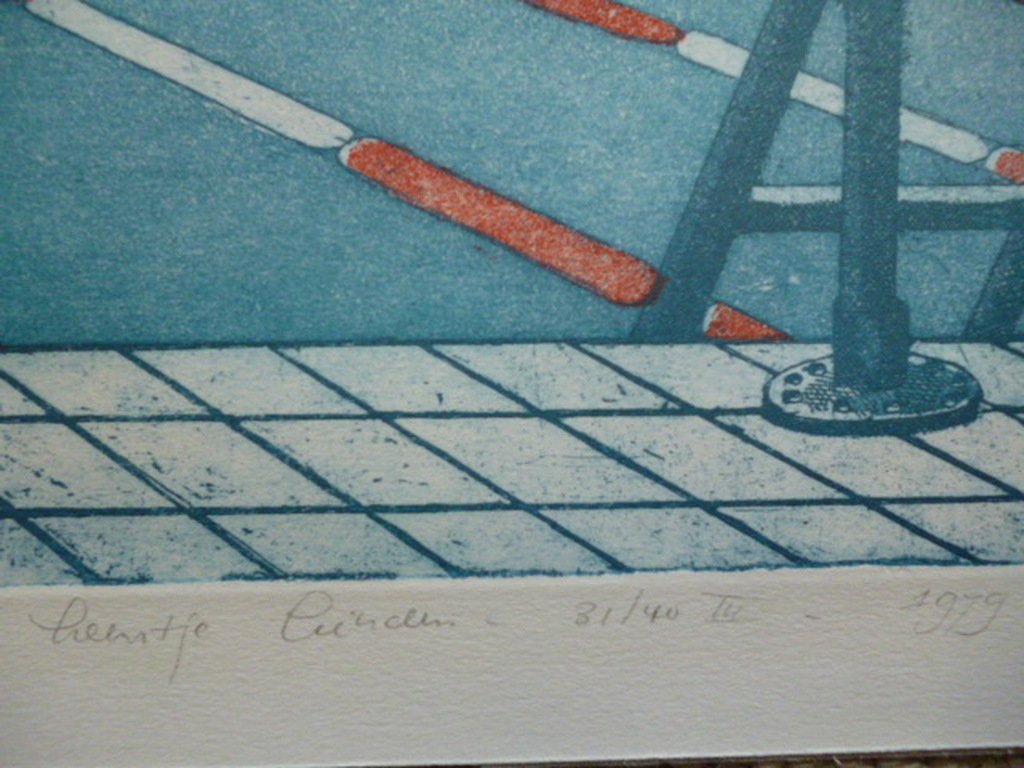 Leentje Linders - kleurenets - Plunge to the horizon part three kopen? Bied vanaf 40!