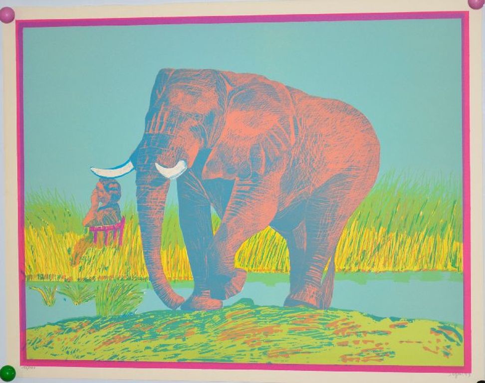 Kleurenlitho Segui: Roze olifant kopen? Bied vanaf 1!