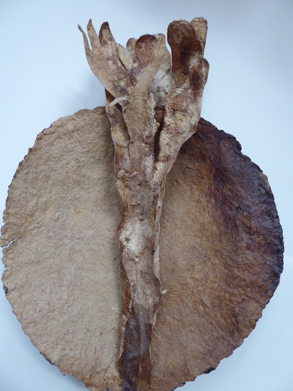 Cor Wegh, papiersculptuur "De bosmonstrans" kopen? Bied vanaf 40!