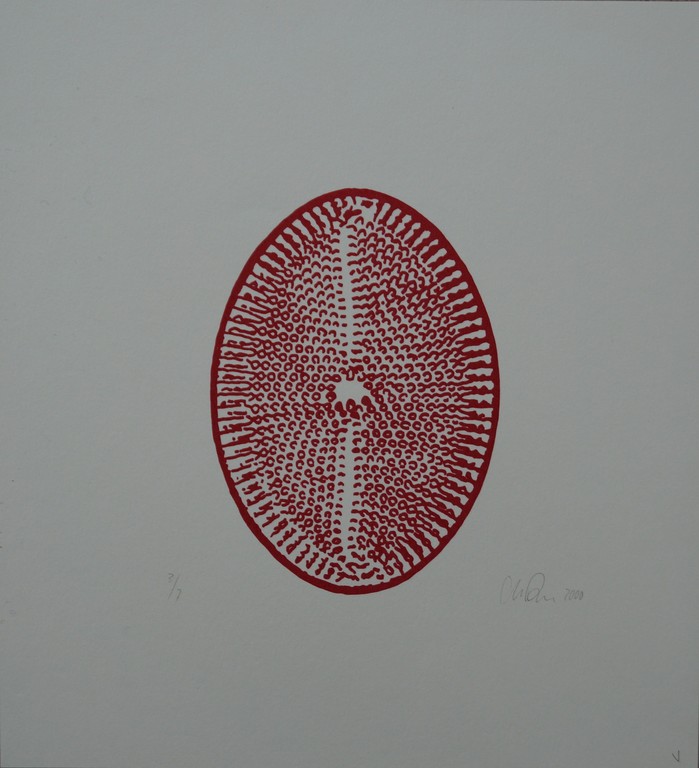 Onbekende kunstenaar - 4 gesigneerde zeefdrukken met gelijke oplagenummers kopen? Bied vanaf 10!