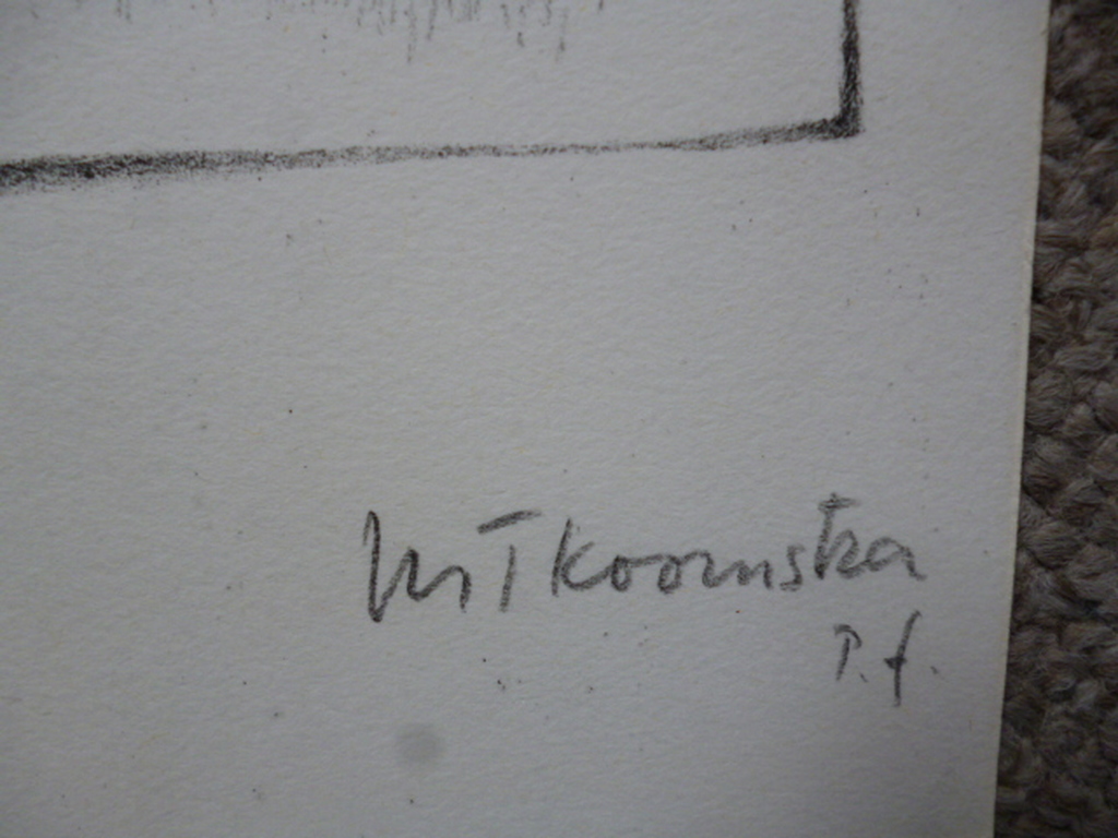 Metten Koornstra - litho - Het jaar 1971 ten grave gedragen kopen? Bied vanaf 40!