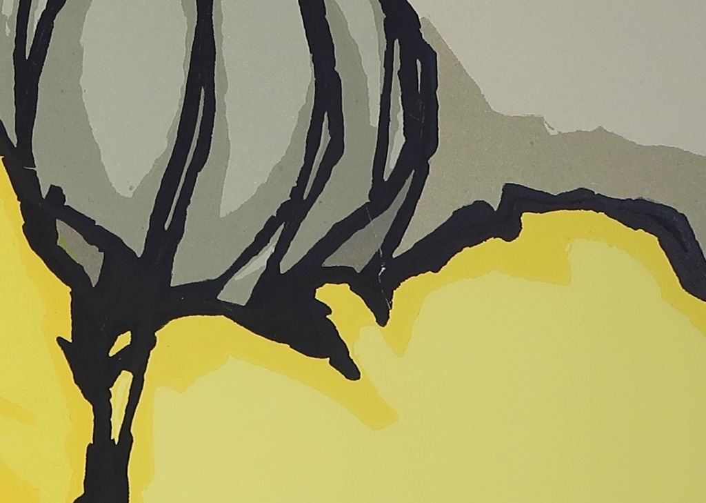 Fon Klement: Boardsnede, Lumiere d'arles (Groot) kopen? Bied vanaf 100!