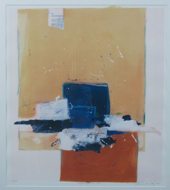 Ron van der Werf: Zeefdruk, Symfonie II - Ingelijst kopen? Bied vanaf 50!