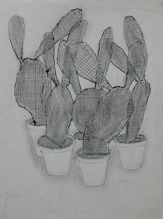 Cactus verkocht voor € 80!