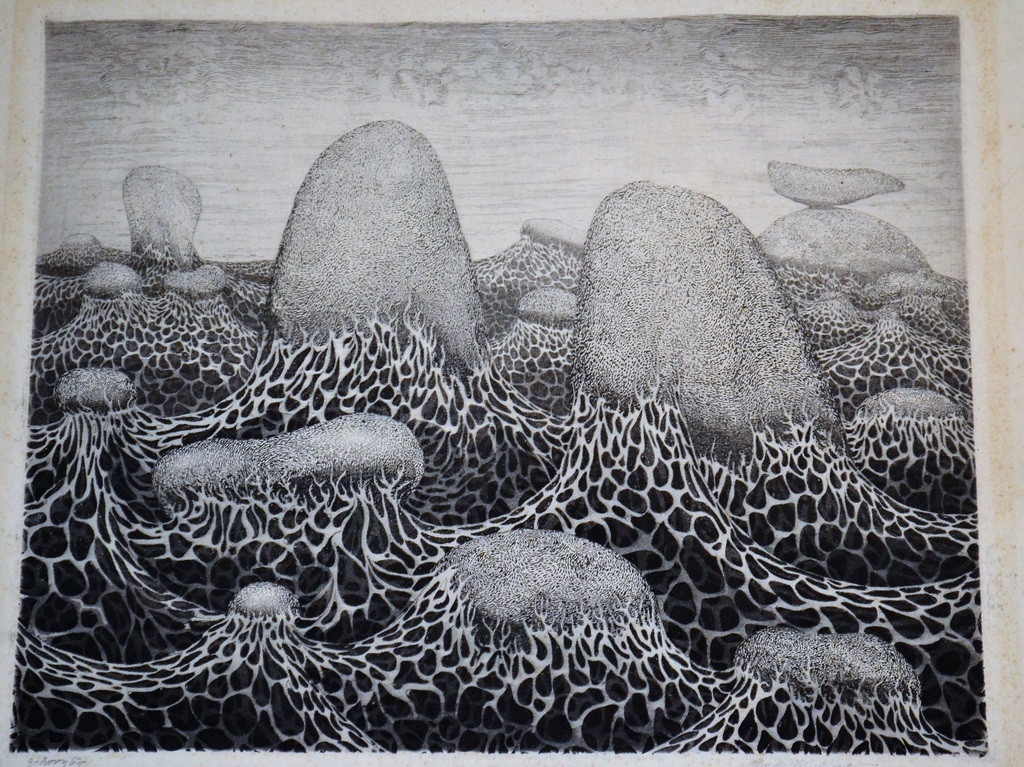 Gerard van Rooy, ets, verkocht voor € 40!