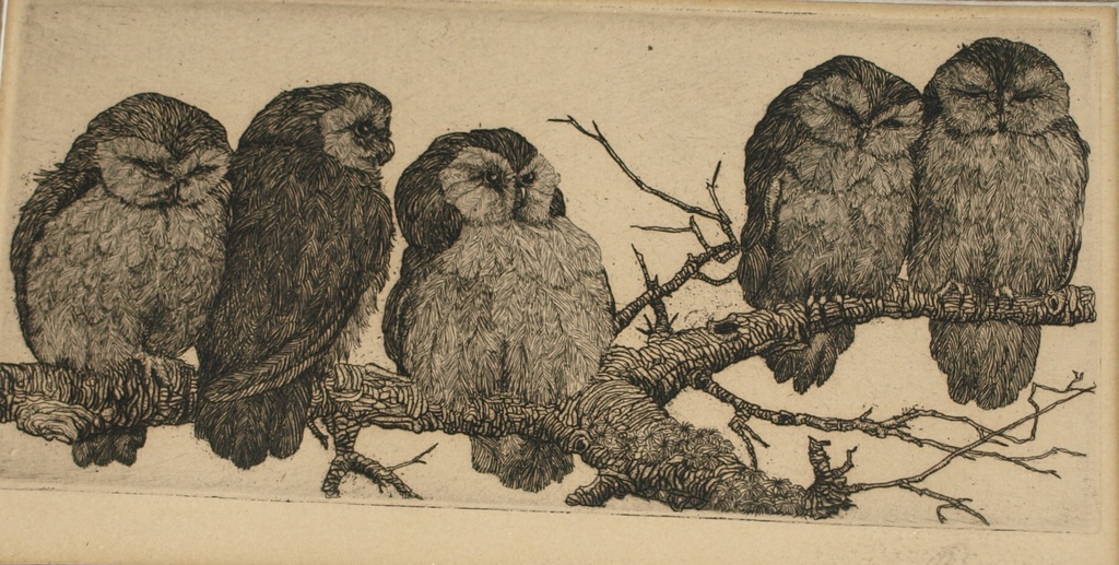 Onduidelijke signatuur : Ets – Uilen – In passe-partout - Oud verkocht voor € 60!