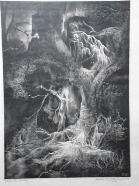 Aart van Dobbenburgh - litho - Vierde landschap verkocht voor € 40!