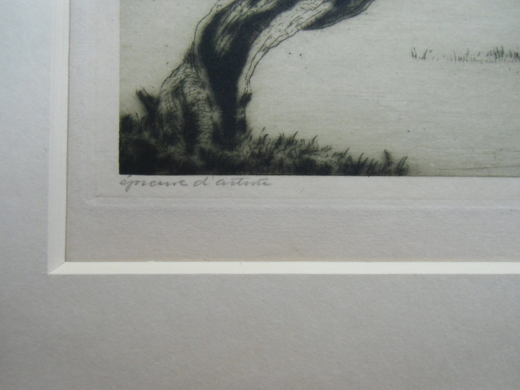 KAGERPLAS // ETS VAN DIRK HARTING kopen? Bied vanaf 30!